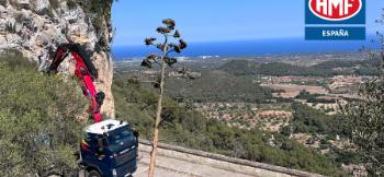 HMF Spanien: Neue Tochtergesellschaft soll Wachstum in Spanien vo-rantreiben HMF Spanien: Neue Tochtergesellschaft soll Wachstum in Spanien vo-rantreiben